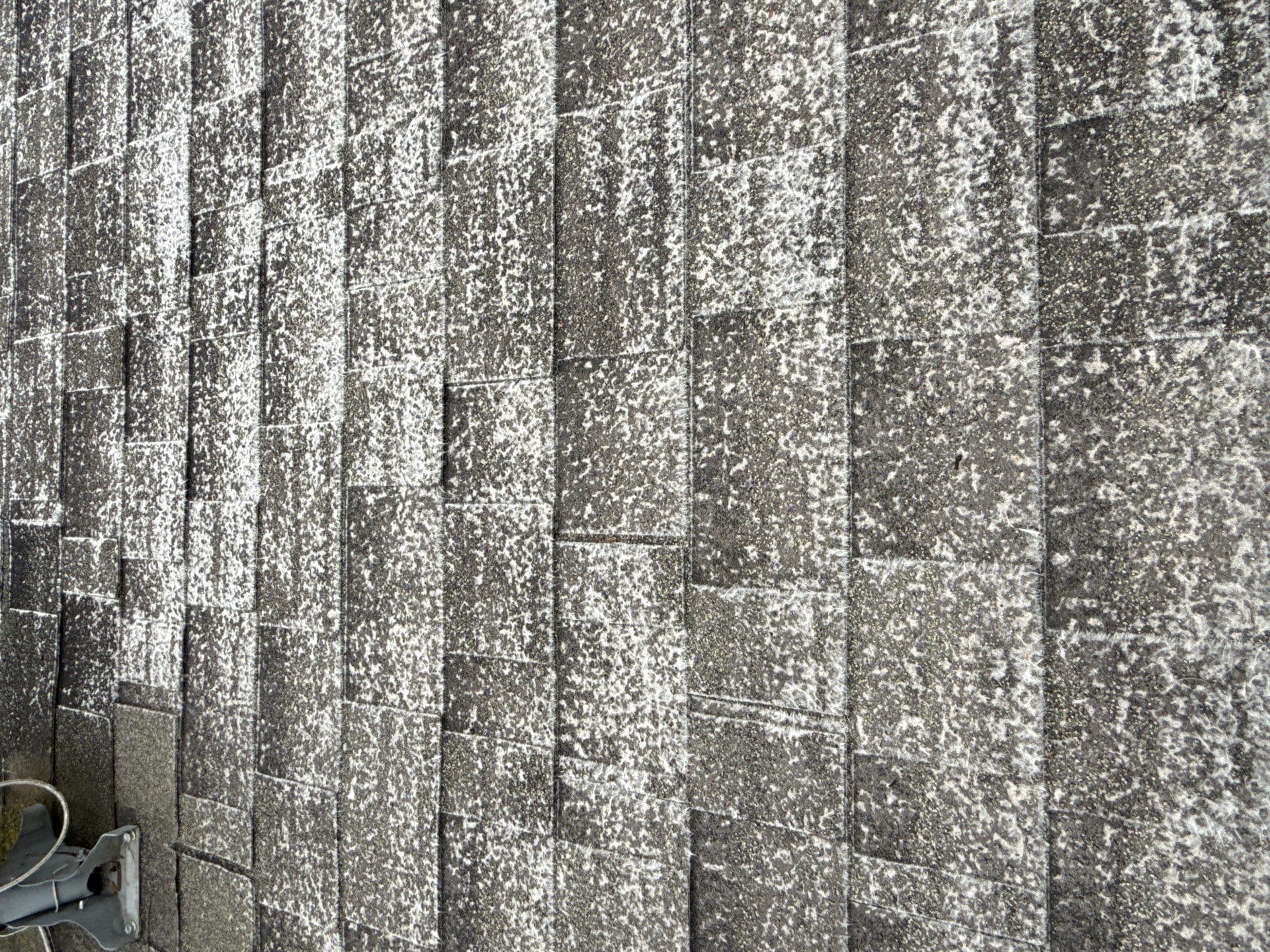 Close view of worn composition shingle where the granules are gone in patches and the pale fiberglass mat shows through on every tab