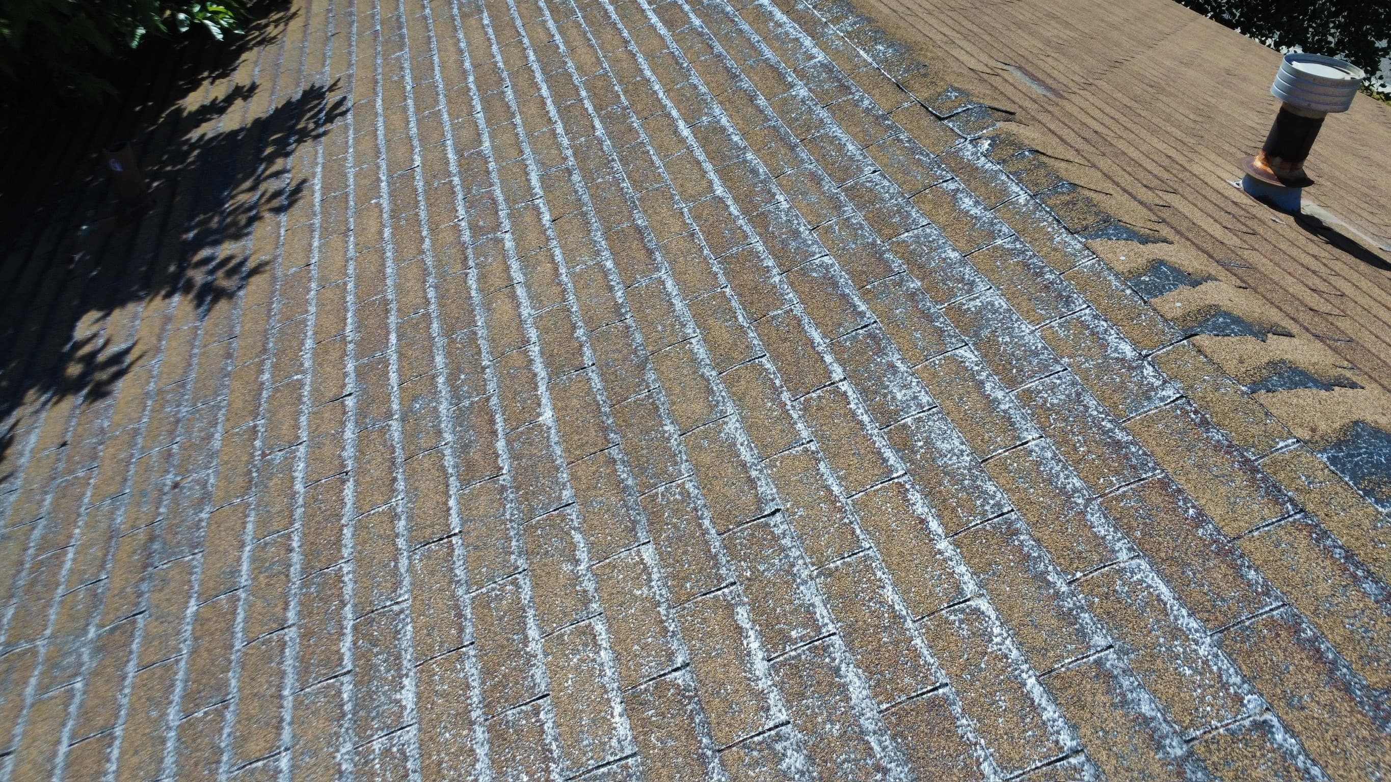 Low view across a Simi Valley composition slope where bare fiberglass mat shows as a pale stripe below every keyway, the granules and the asphalt under them worn away along each runoff path.