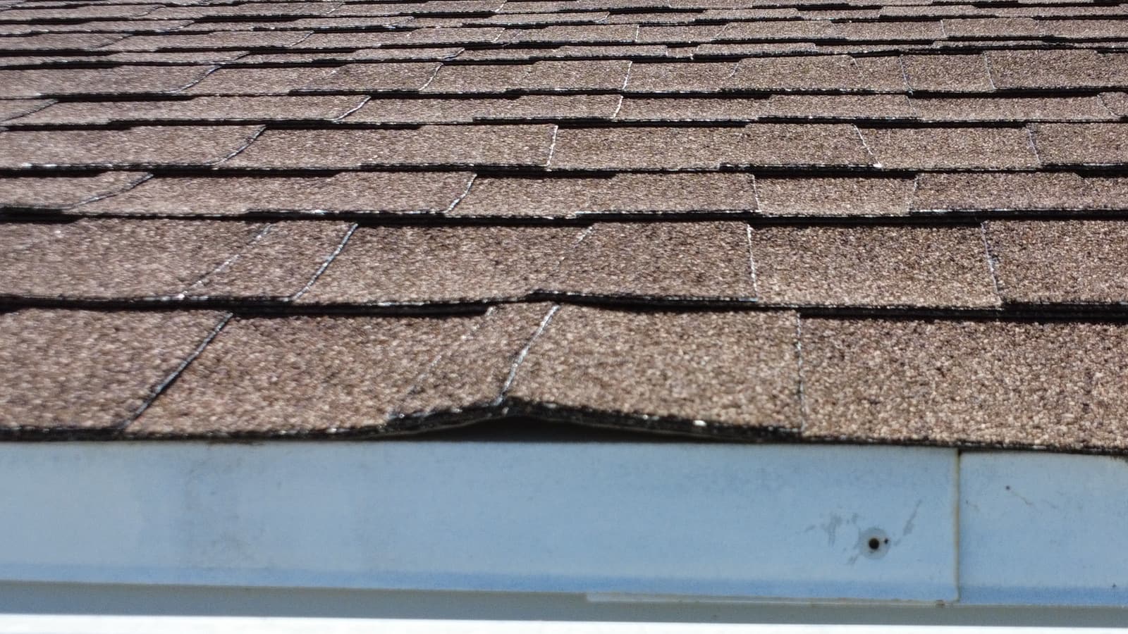 Looking up a composition slope to the eave, where one shingle in the bottom course is tented into a low ridge and lifted off the drip edge while the courses beside it lie flat.