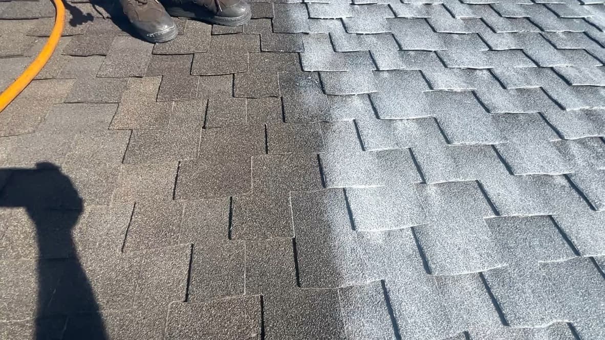 Close-up of composition shingle mid-treatment. Right half wet milky Roof Maxx; left half original dry shingle still waiting.