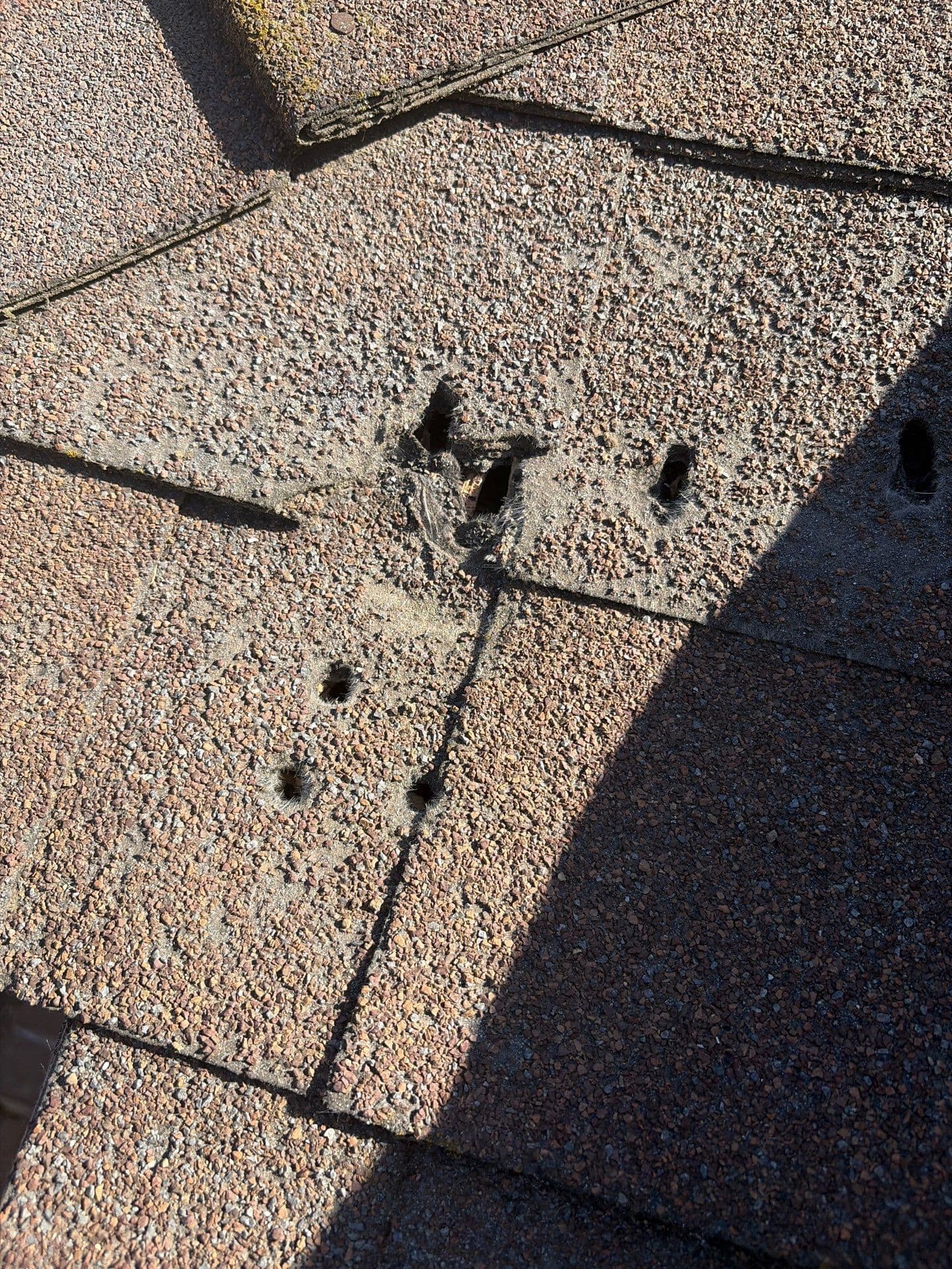 Close inspection photo of open fastener holes left in the field of a composition shingle.