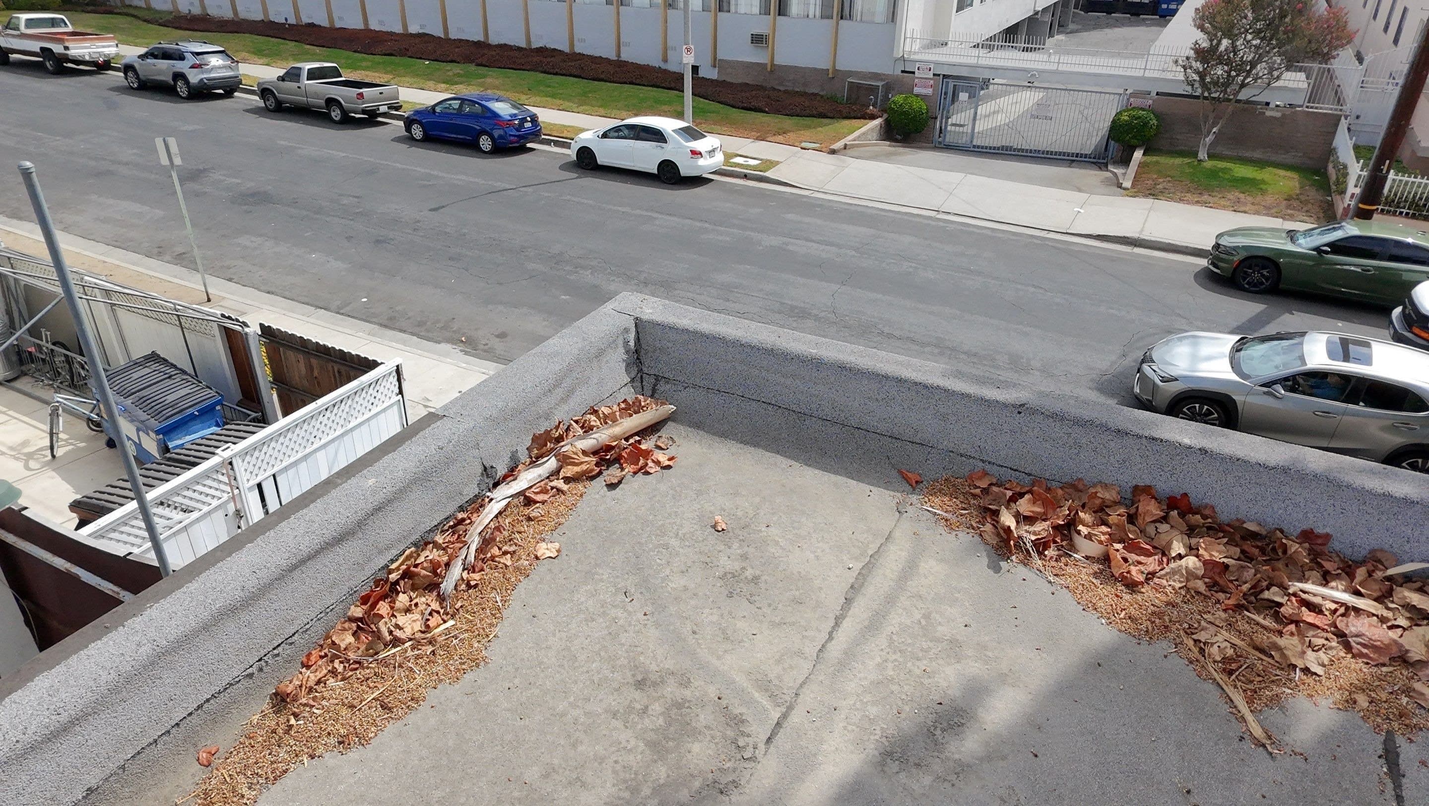 Leaves and debris collected along the parapet of the flat roof.