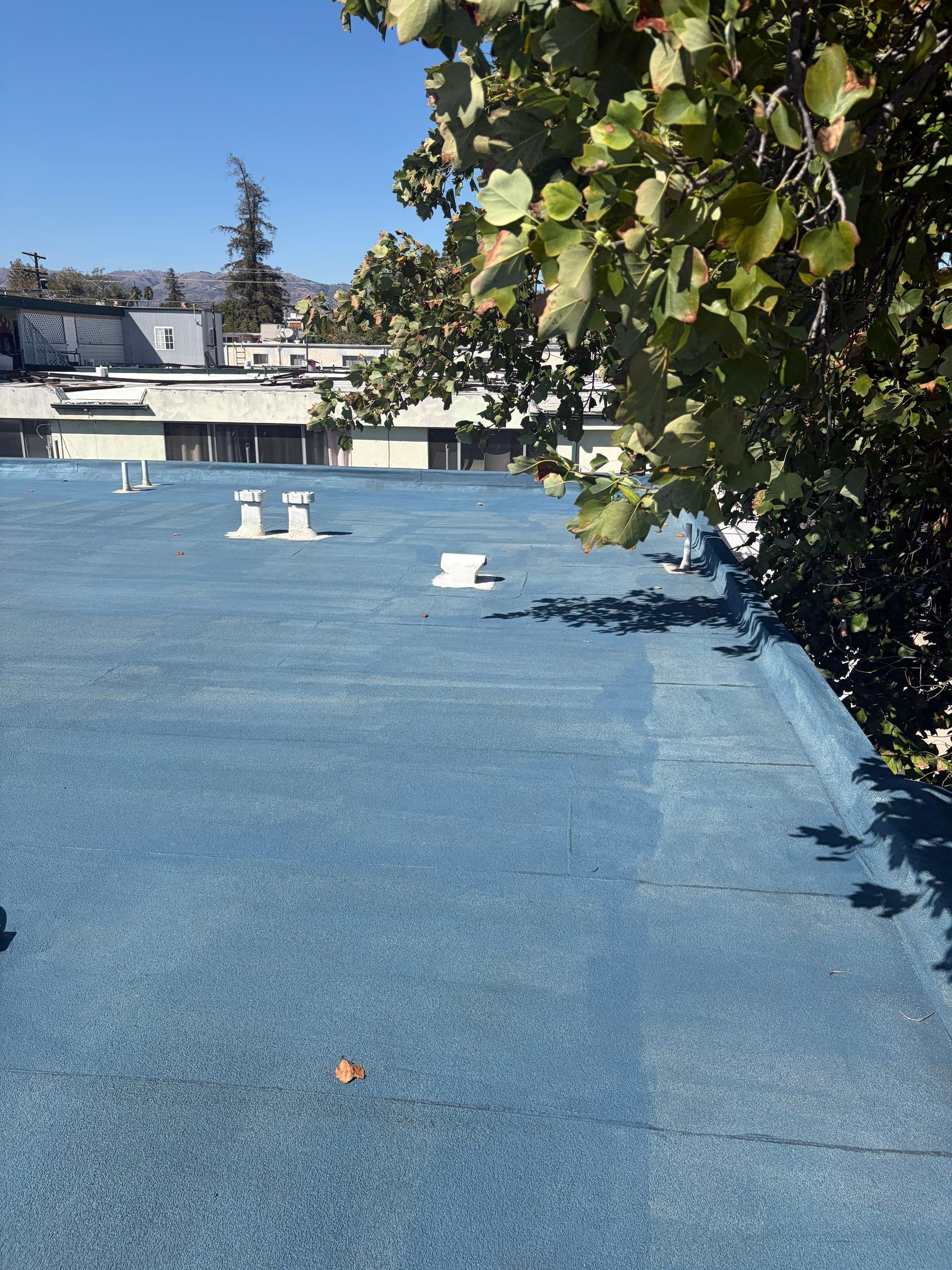 Roof seams covered in blue base coat before the rest of the deck.